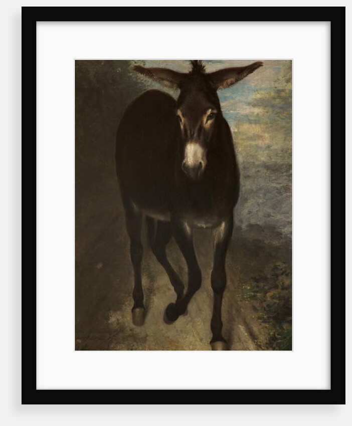 A Sicilian Ass by Benjamin Robert Haydon