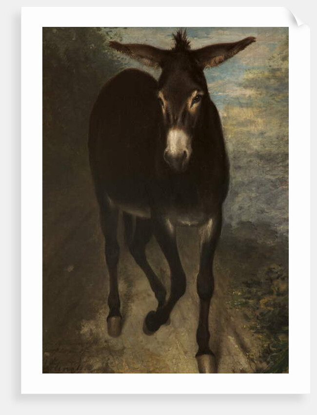 A Sicilian Ass by Benjamin Robert Haydon