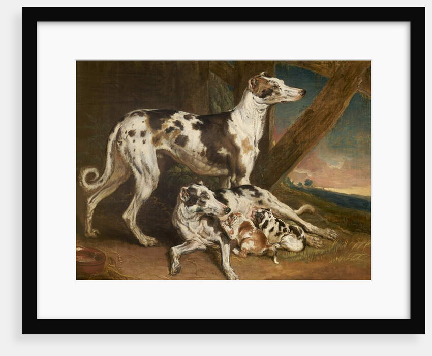 Dalmatian Dogs by James Ward