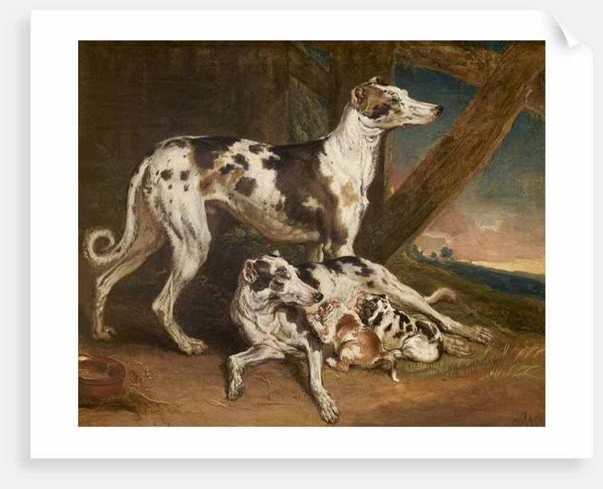 Dalmatian Dogs by James Ward