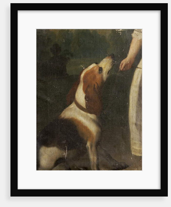 A Hound by School English