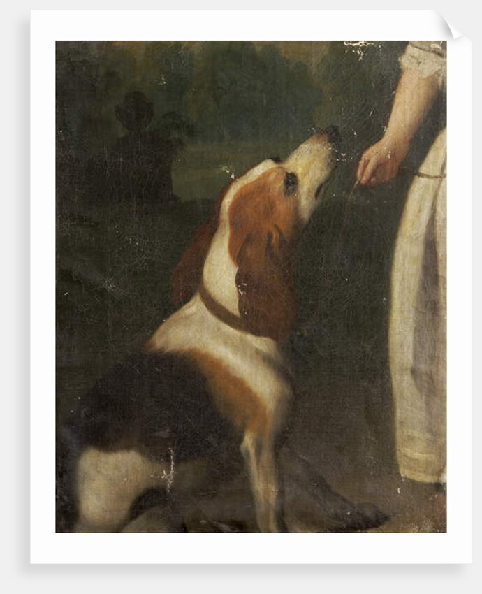 A Hound by School English