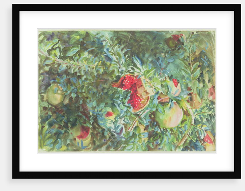 Pomegranates, 1908 by John Singer Sargent