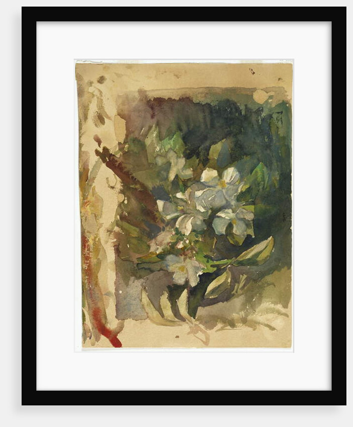 Apple Blossoms in Sunlight by John La Farge or Lafarge
