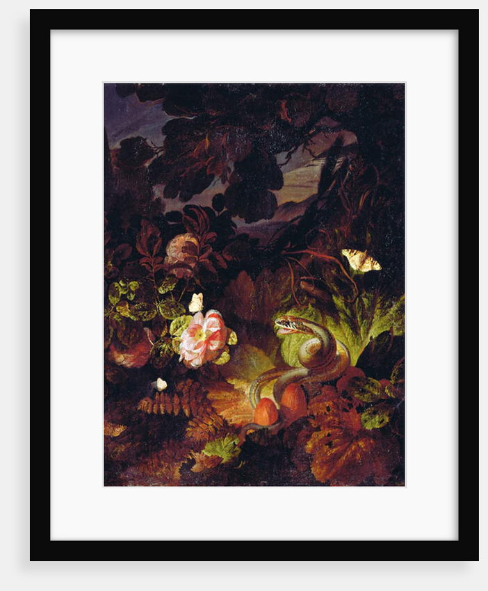 Flowers, Snake and Butterflies by Otto Marseus van Schrieck