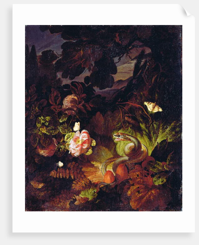 Flowers, Snake and Butterflies by Otto Marseus van Schrieck
