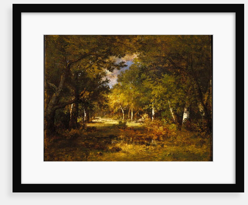 Forest Scene, c.1844-60 by Narcisse Virgile Diaz de la Pena