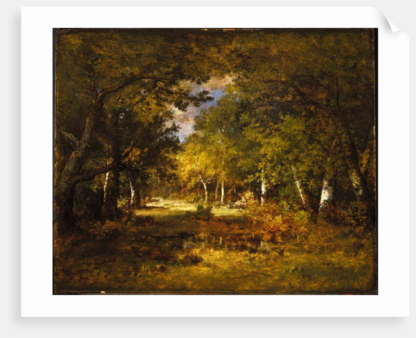 Forest Scene, c.1844-60 by Narcisse Virgile Diaz de la Pena