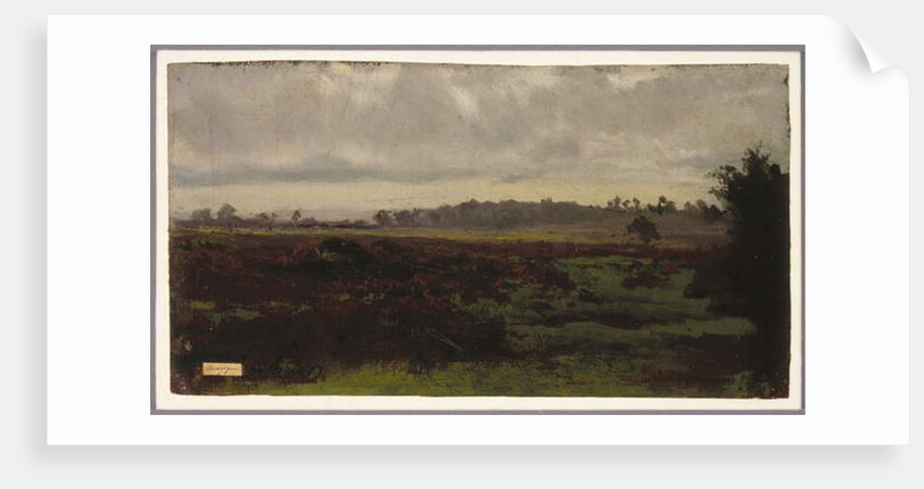 Marshlands, mid-1850s by Auguste Francois Bonheur