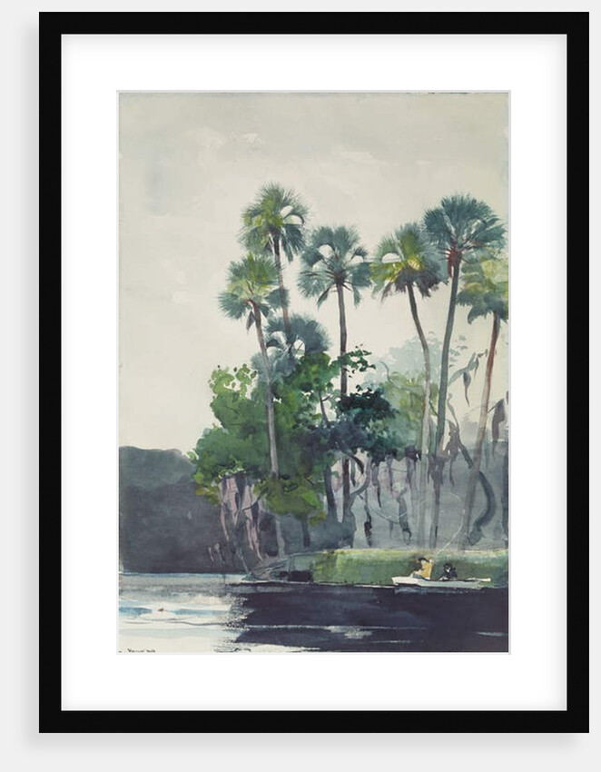 Homosassa River, 1904 by Winslow Homer