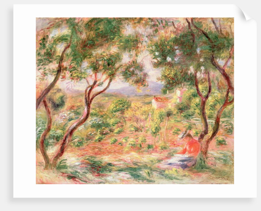 The Vines at Cagnes, 1906 by Pierre Auguste Renoir