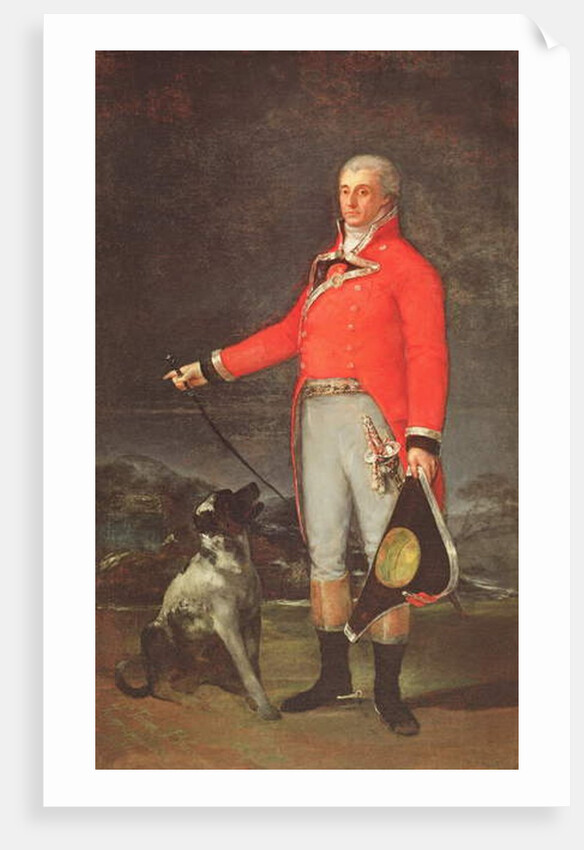 Taddeo Bravo de Rivero, 1806 by Francisco Jose de Goya y Lucientes