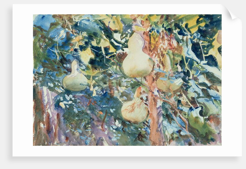 Gourds, c.1905 by John Singer Sargent
