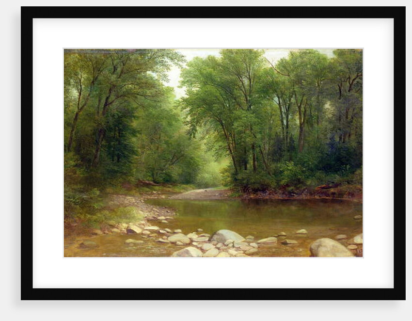 A Catskill Stream, 1867 by Asher Brown Durand