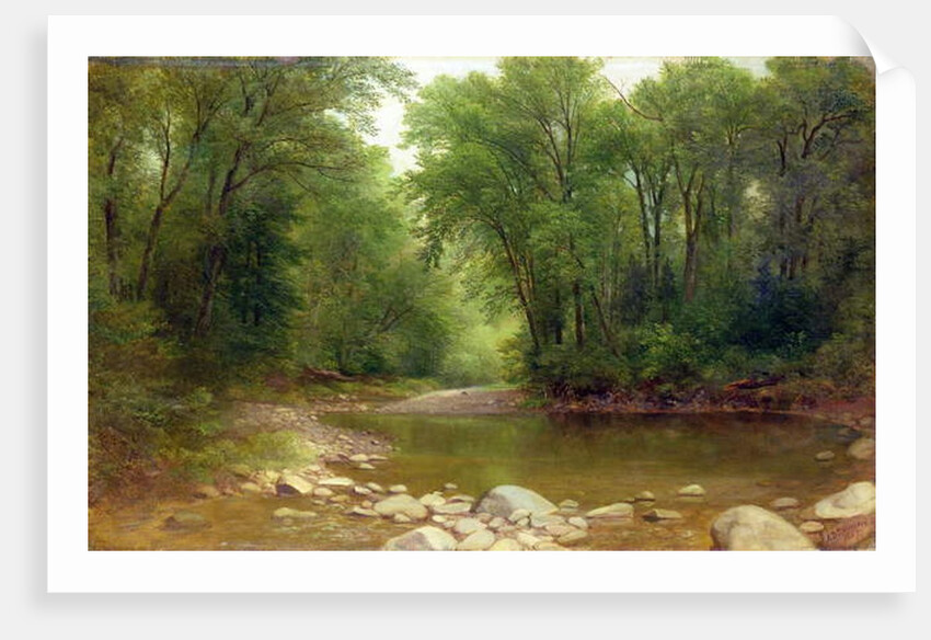 A Catskill Stream, 1867 by Asher Brown Durand