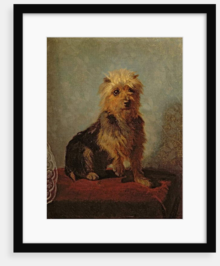 Chadwick's Dog, 1874 by Abbott Handerson Thayer