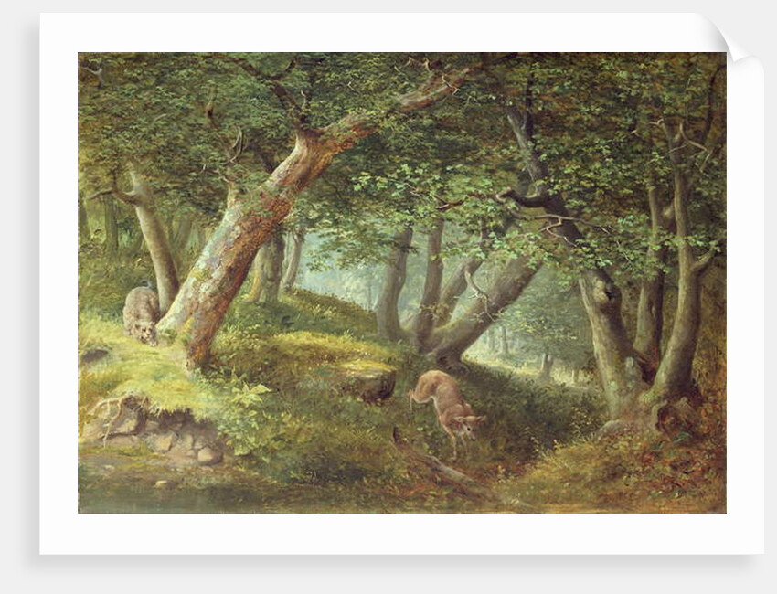 In the Forest, 1856 by William Holbrook Beard