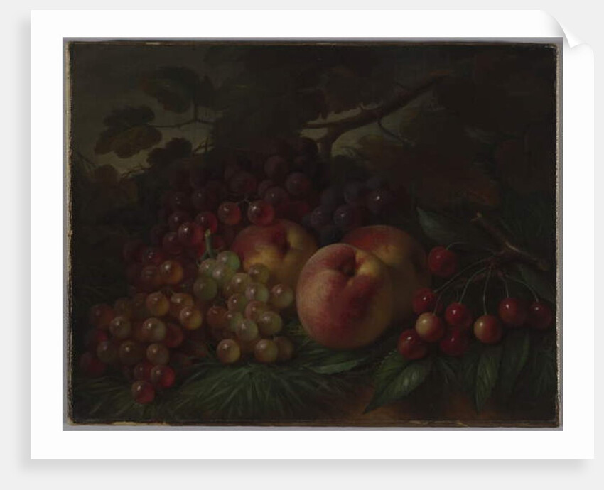 Peaches, Grapes and Cherries, c.1860-70 by George Henry Hall