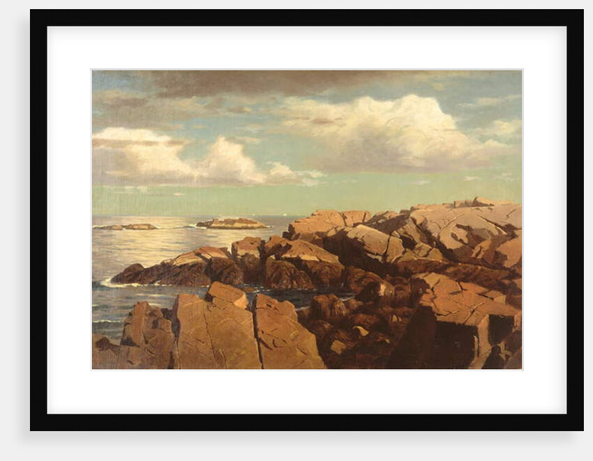 After a Shower, Nahant, Massachusetts, 1864 by William Stanley Haseltine