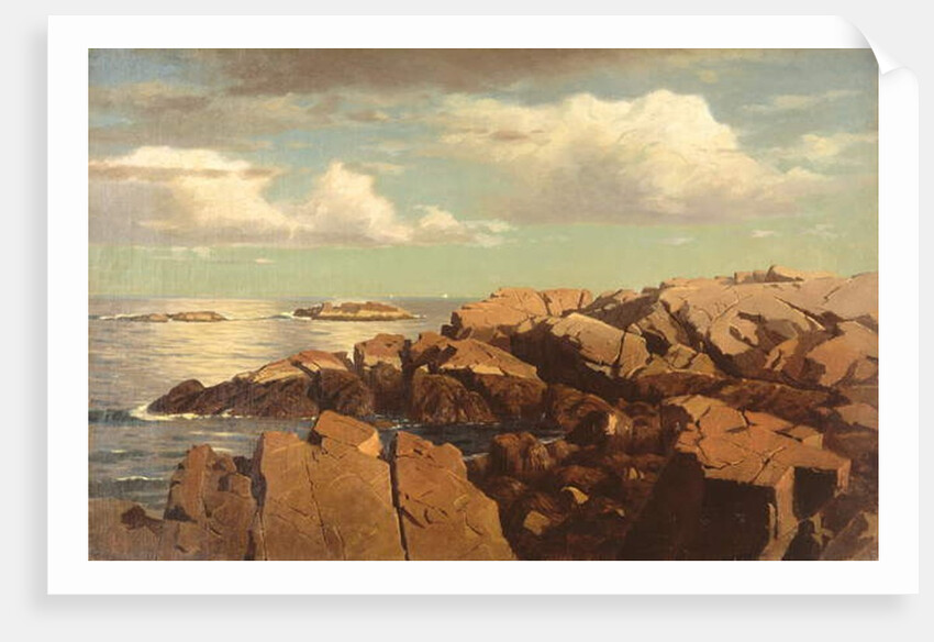 After a Shower, Nahant, Massachusetts, 1864 by William Stanley Haseltine