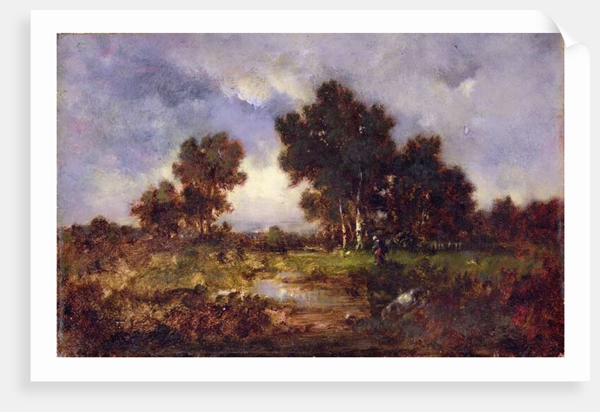 Trees and Pool, c.1845 by Narcisse Virgile Diaz de la Pena