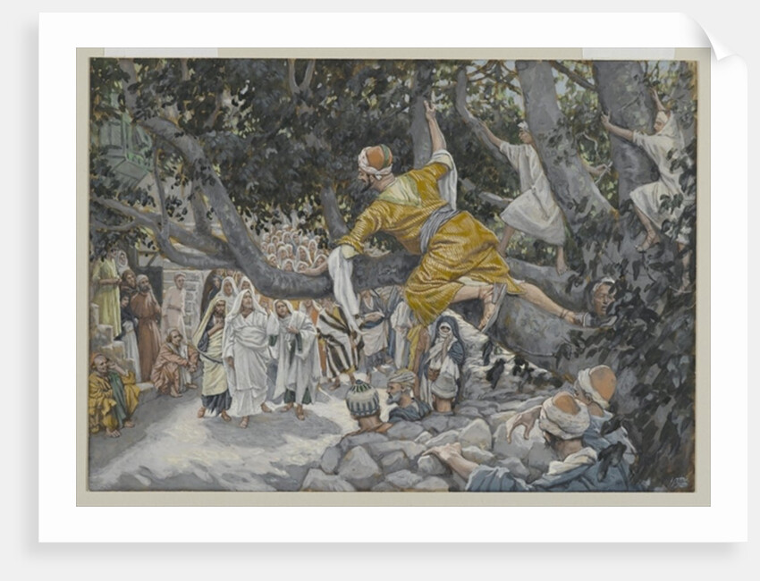 Zaccheus in the Sycamore Awaiting the Passage of Jesus by James Jacques Joseph Tissot