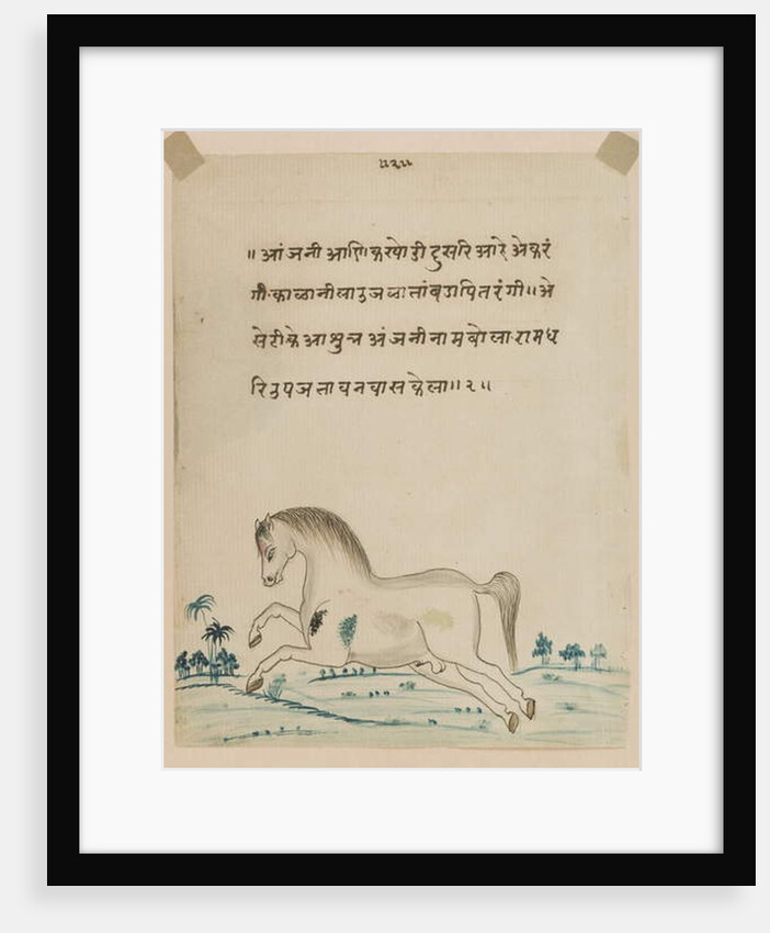 Horse by Indian School