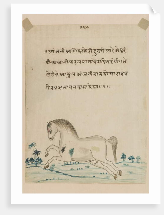 Horse by Indian School