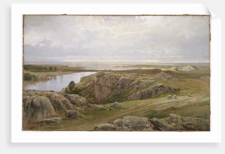 Lily Pond, Newport, 1877 by William Trost Richards