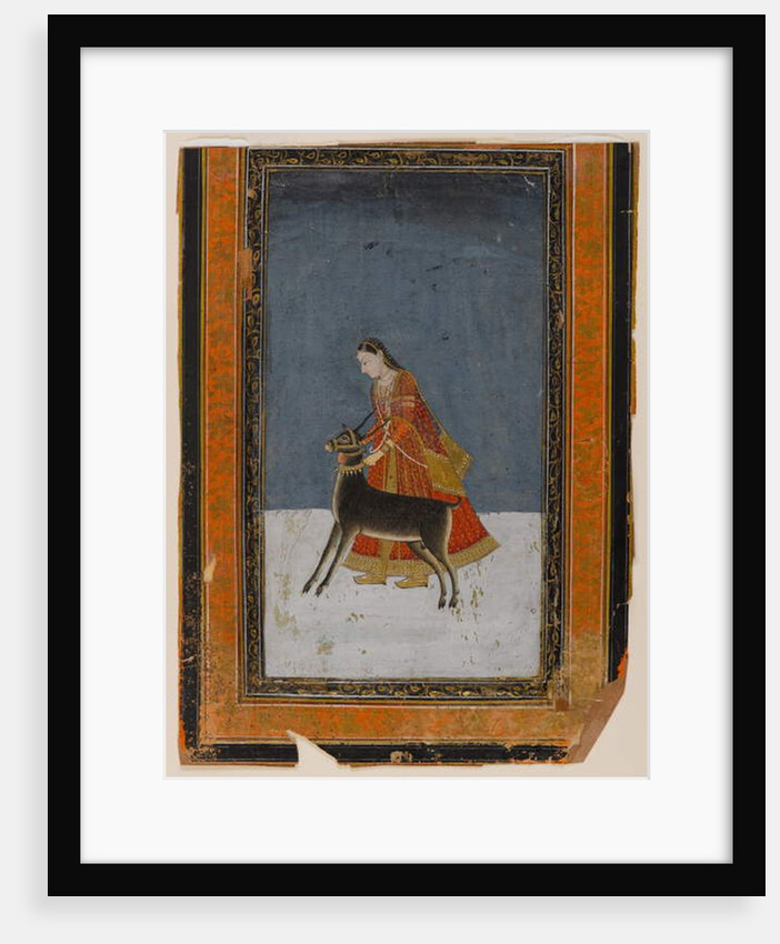Lady with a black buck, c.1750 by Indian School