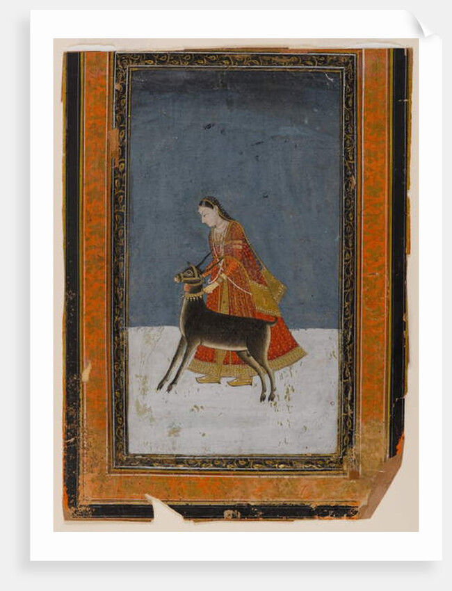 Lady with a black buck, c.1750 by Indian School