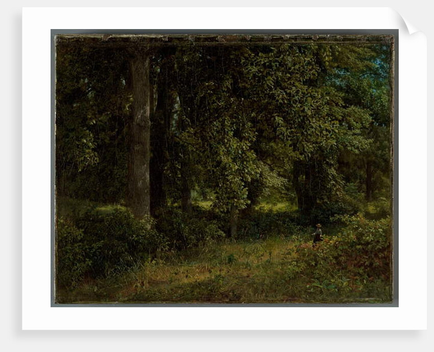 Tulip trees, 1859 by William Trost Richards