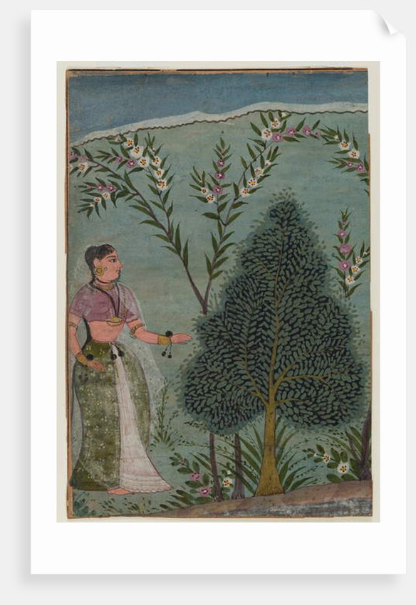 Lady in the wilderness by Indian School