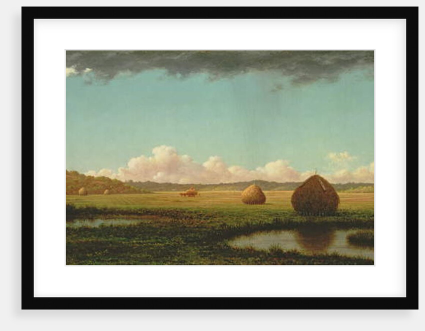 Summer Showers, c.1862-63 by Martin Johnson Heade