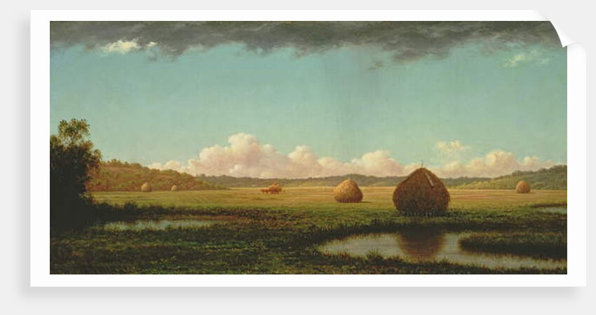 Summer Showers, c.1862-63 by Martin Johnson Heade