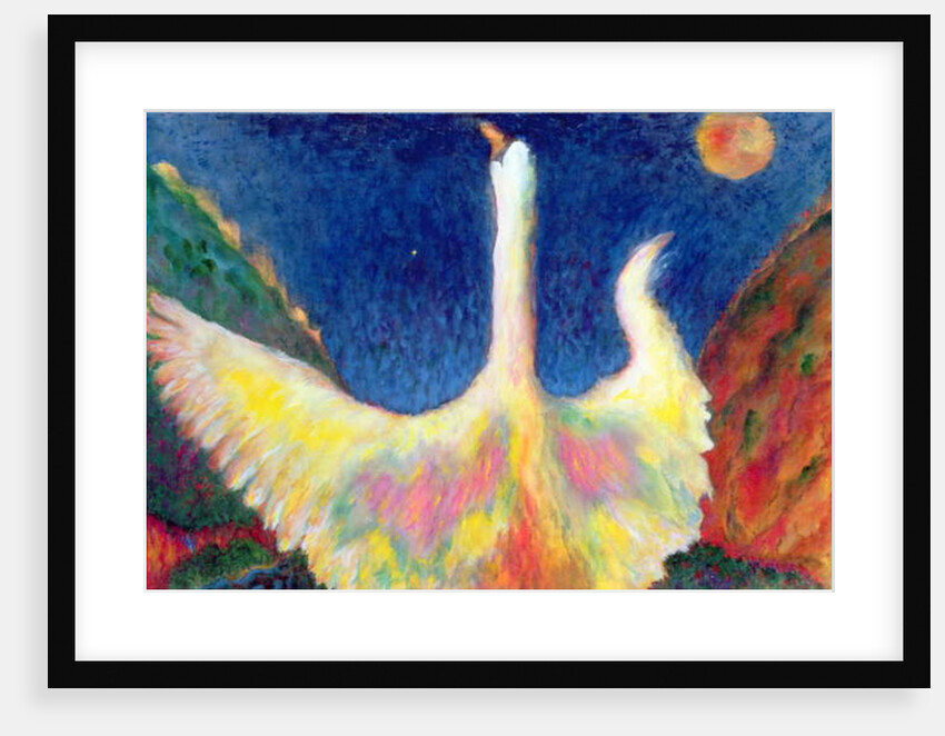 Leda and the Swan, 1993 by Tom Cook