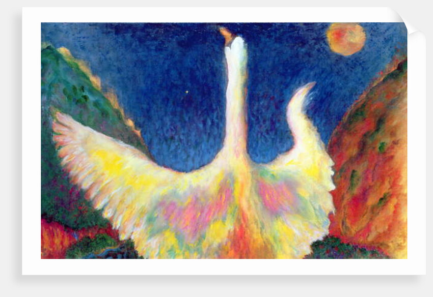 Leda and the Swan, 1993 by Tom Cook