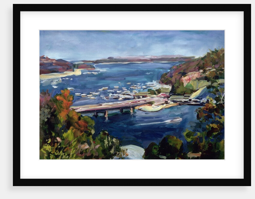 The Sydney Split, 1995 by Ted Blackall