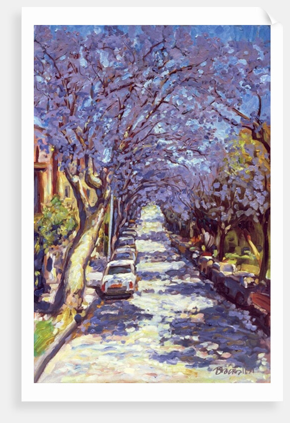 North Sydney Jacaranda, 1990 by Ted Blackall