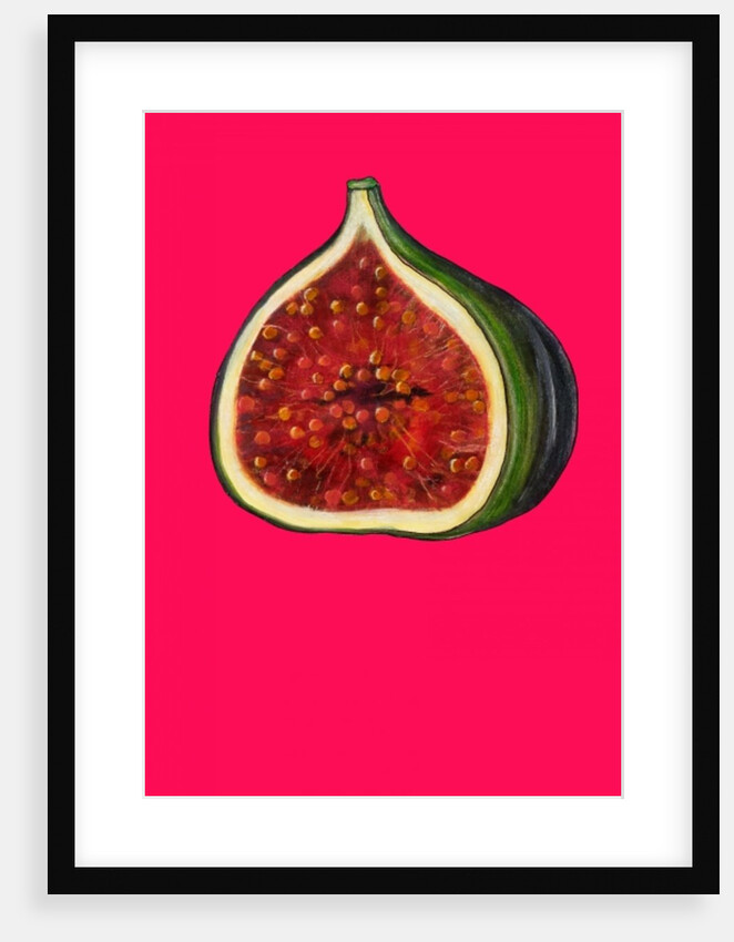 Fig, 2009 by Sarah Thompson-Engels