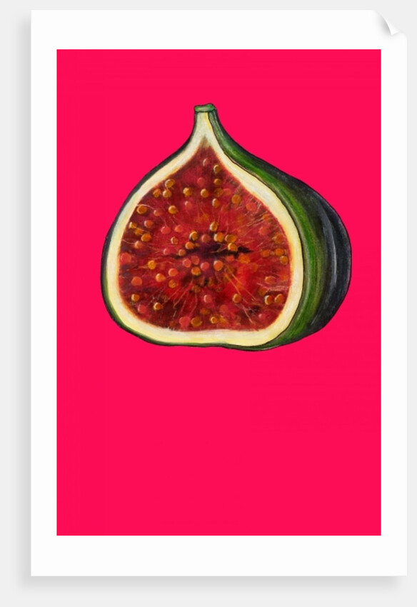 Fig, 2009 by Sarah Thompson-Engels