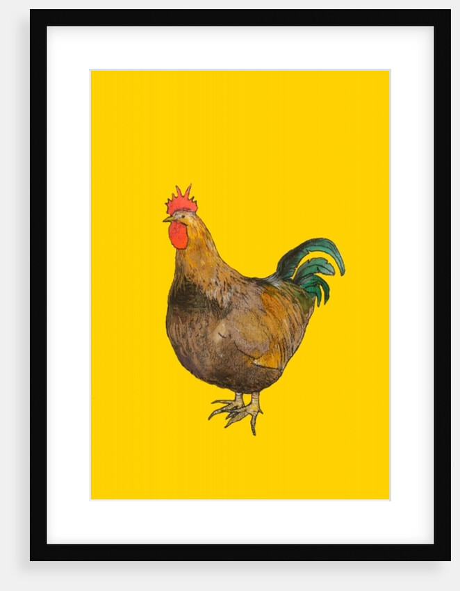 Cockerel, 2006 by Sarah Thompson-Engels