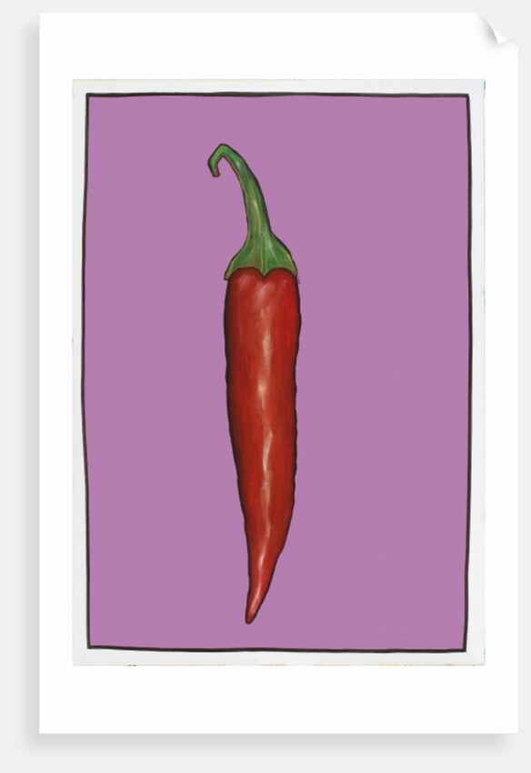 Chilli pepper purple,2004 by Sarah Thompson-Engels