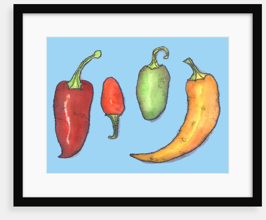 Chilli peppers, 2013 by Sarah Thompson-Engels