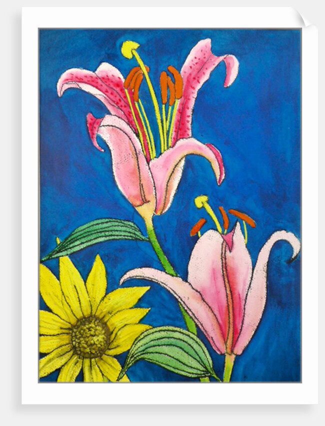 Stargazer by Sarah Thompson-Engels