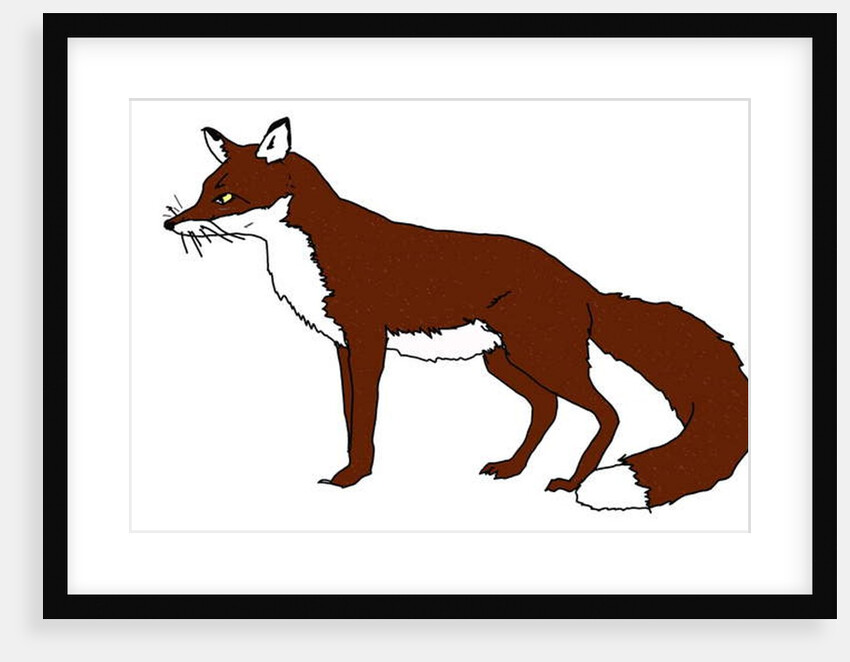 Fox, 2018 by Sarah Thompson-Engels