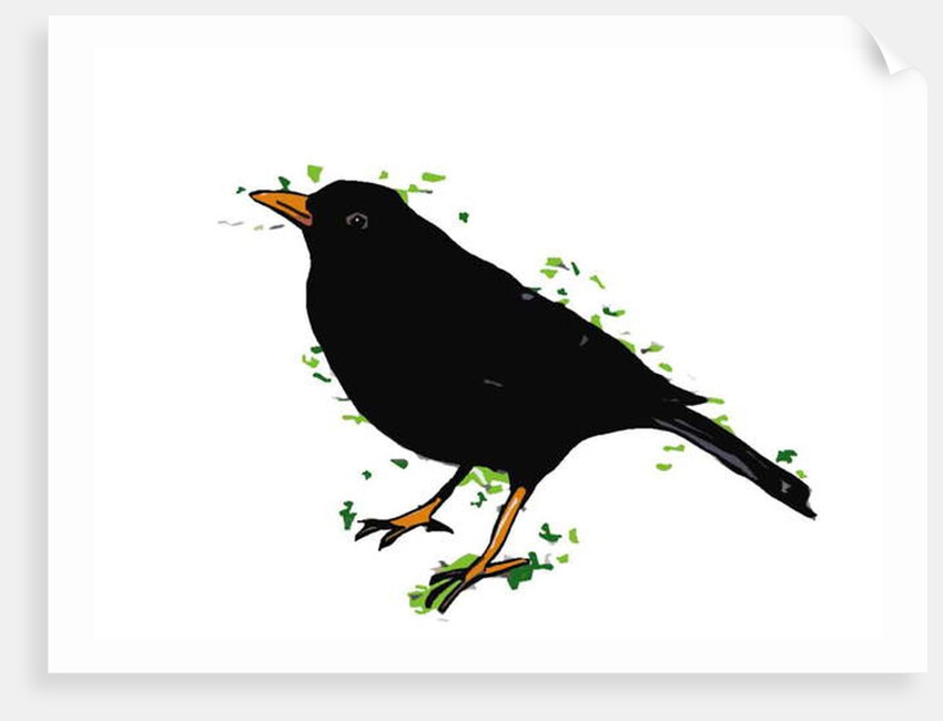 Blackbird, 2018 by Sarah Thompson-Engels