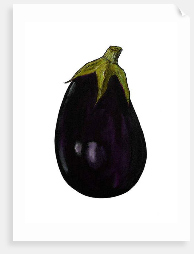 Purple aubergine by Sarah Thompson-Engels