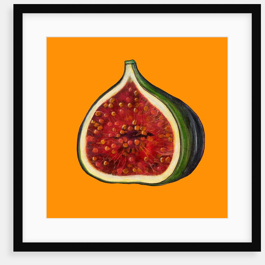 Fig on orange by Sarah Thompson-Engels