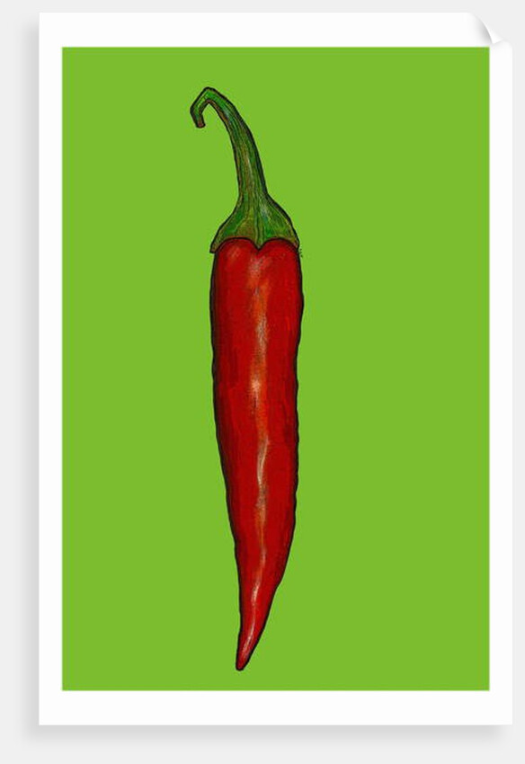 Red hot chilli pepper, 2014 by Sarah Thompson-Engels